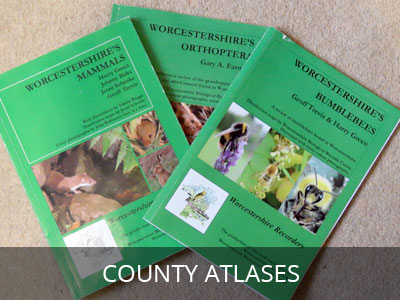 County Atlases