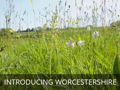 Introducing Worcestershire