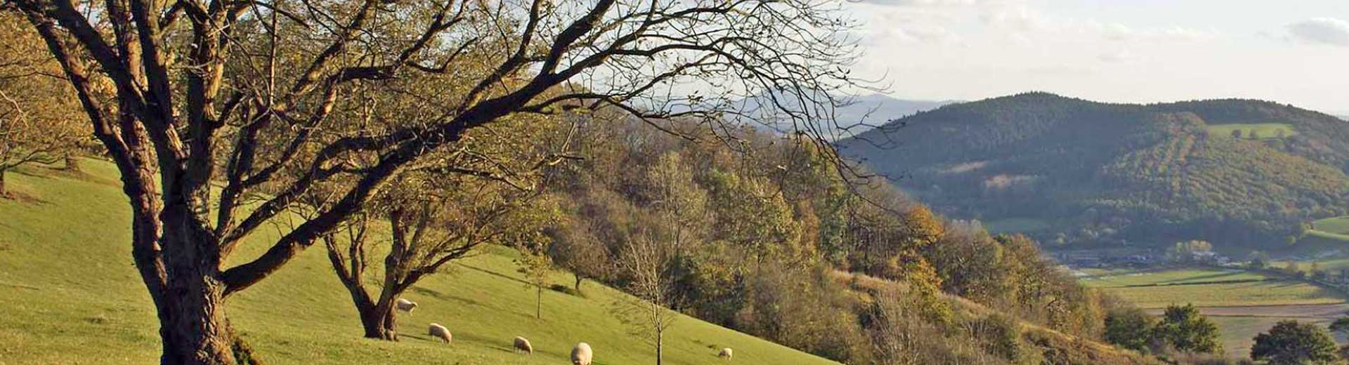 Abberley Hill